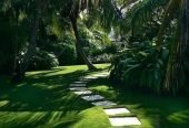 Grass