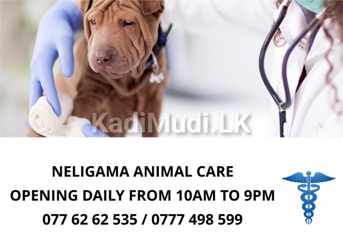 NELIGAMA ANIMAL CARE