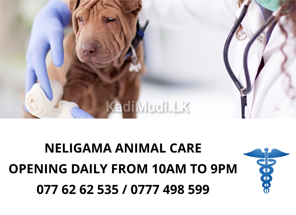 NELIGAMA ANIMAL CARE