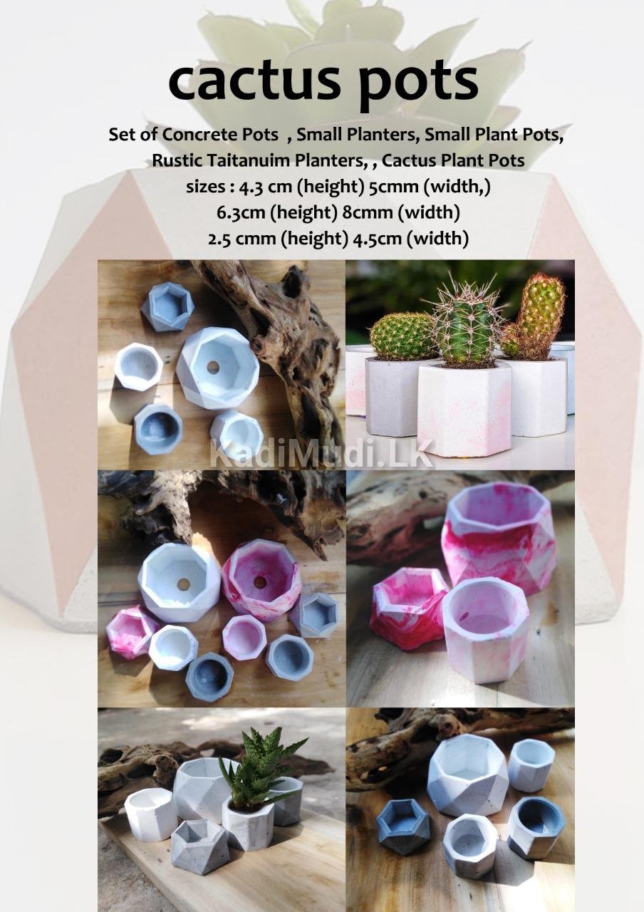 Cactus Pots