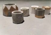 Cactus Pots