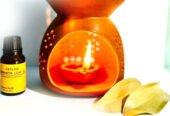 Cinnamon Oil BURNER Traditional Peaceful Freedom