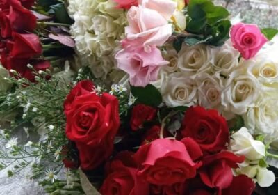 inbound2028343763057877202