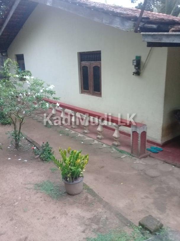 House for Sale With 32 Perches