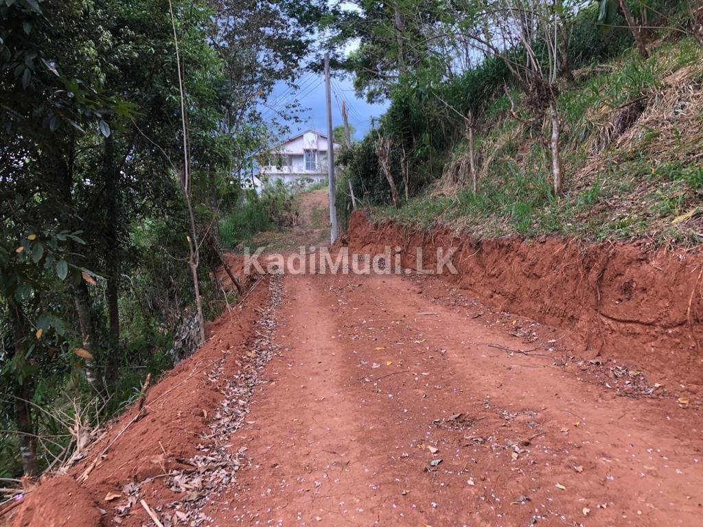 Land for Sale in Gelioya Kandy