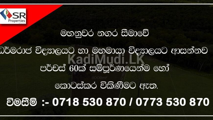 Land for Sale 60 Perches