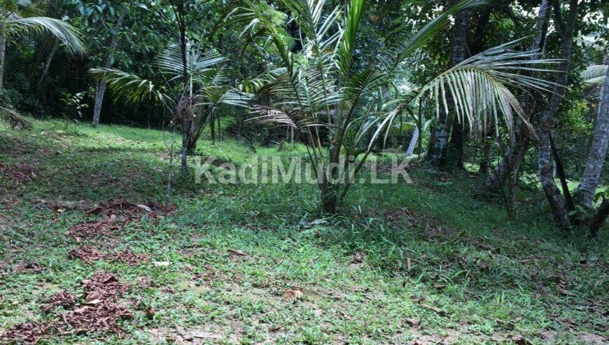 Land Sale in Minuwangoda