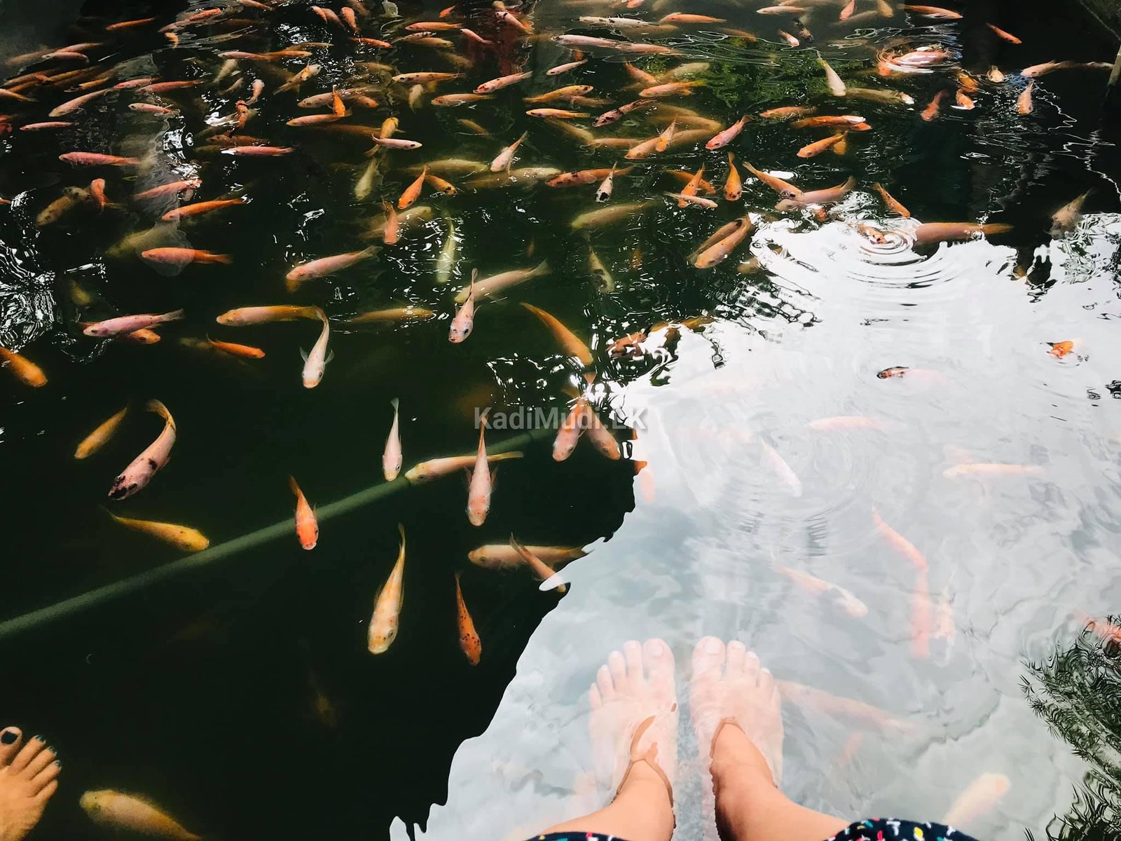 Best Holiday Location | Seethawaka Miracle