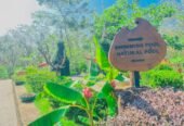 Best Holiday Location | Seethawaka Miracle