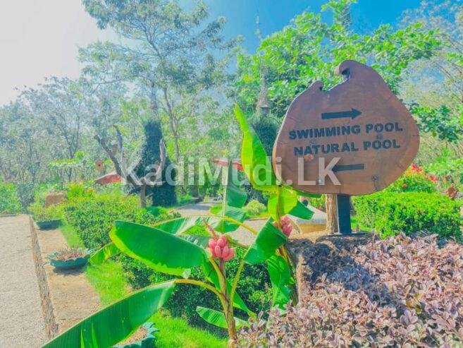 Best Holiday Location | Seethawaka Miracle