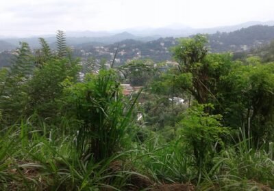 inbound7868837503736227560