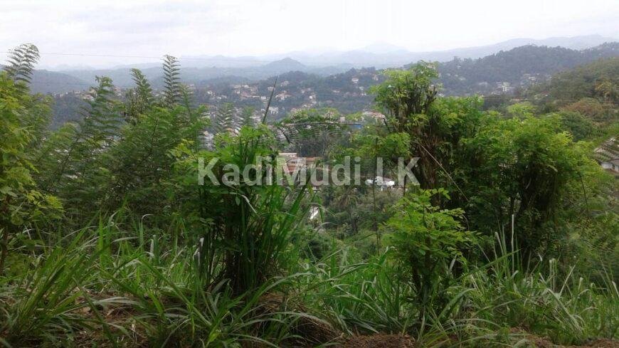 Land for Sale in Heeressagala 24.25 Perch