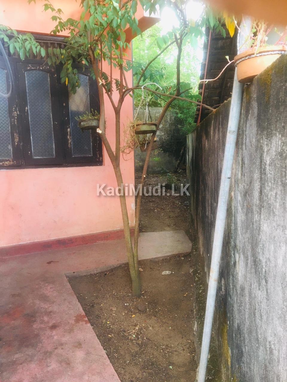 House For Sale in Boralesgamuwa