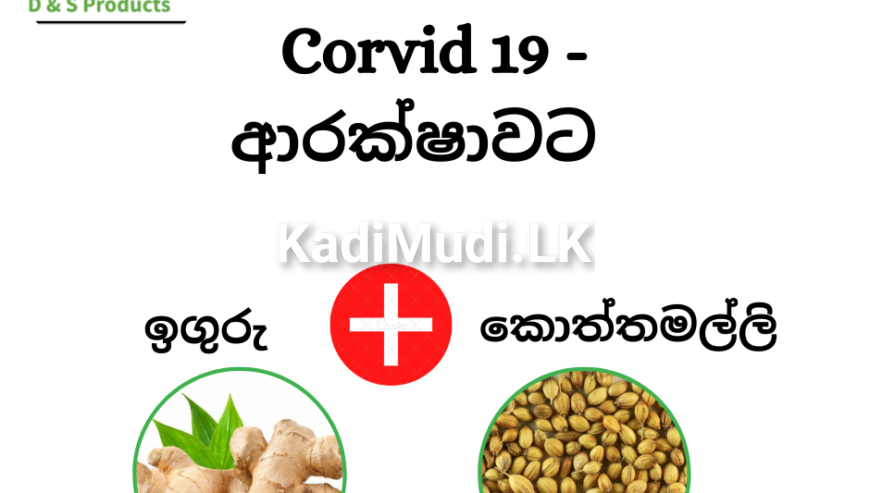 Ginger & Coriander Tea – ( ඉඟුරු කොත්තමල්ලි තේ )