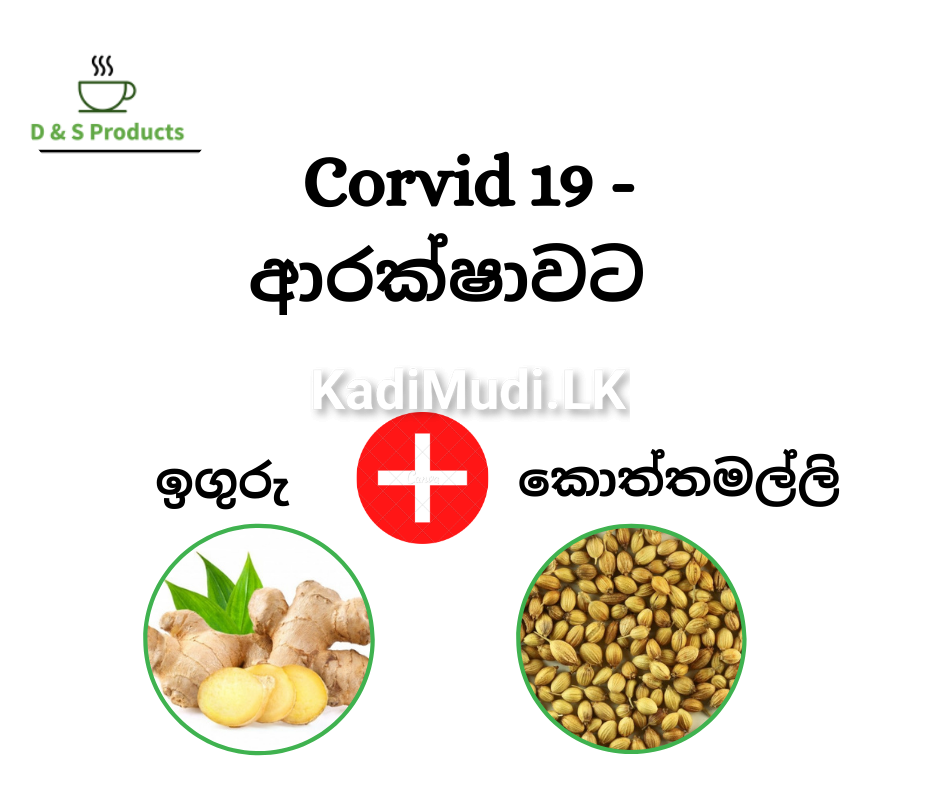 Ginger & Coriander Tea – ( ඉඟුරු කොත්තමල්ලි තේ )