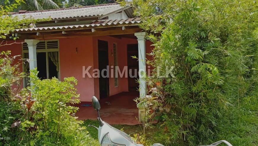 House for Sale in Homagama