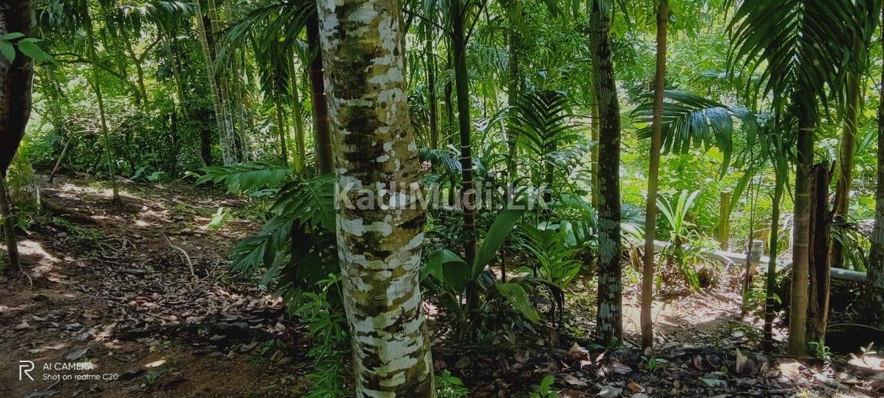 House for Sale in Homagama