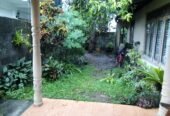 House With 20 Perches Land