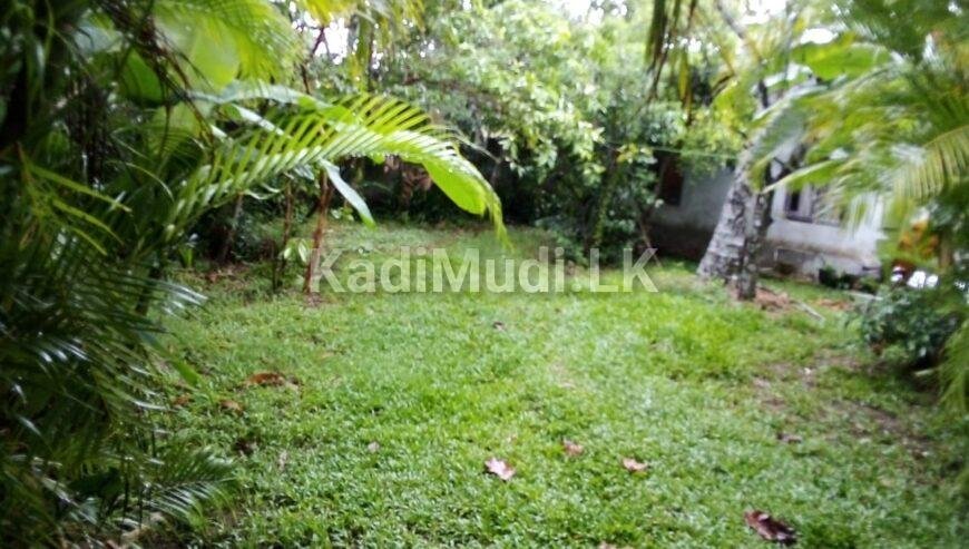 House With 20 Perches Land