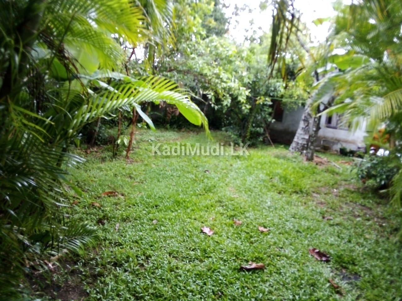 House With 20 Perches Land