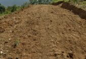 Land for Sale in Balangoda