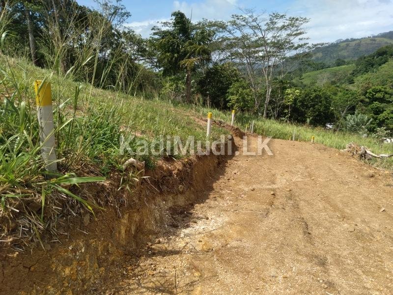 Land for Sale in Balangoda