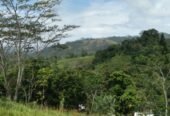 Land for Sale in Balangoda