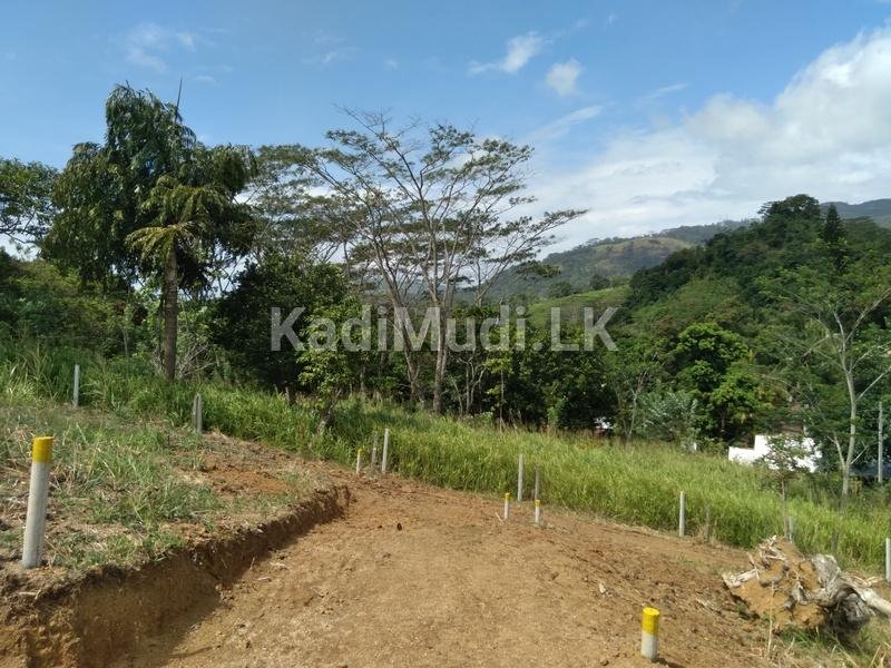 Land for Sale in Balangoda