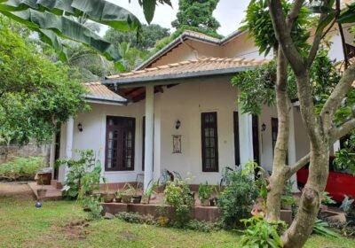 inbound5786534626148592813