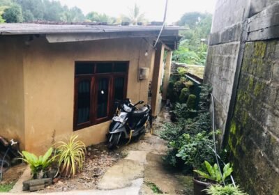 8dd47bb1-03f8-4309-8b8b-5b0bd280d52a