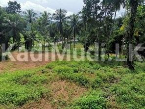 Land for Sale Near Agalawatte Town