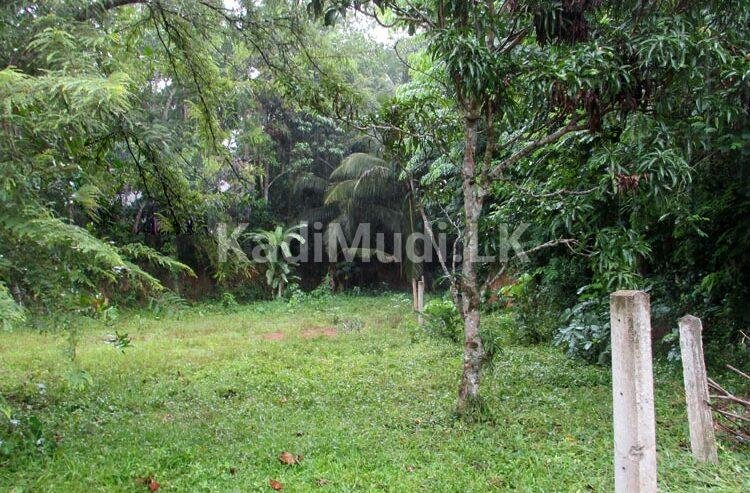 Andiambalama Land For Sale