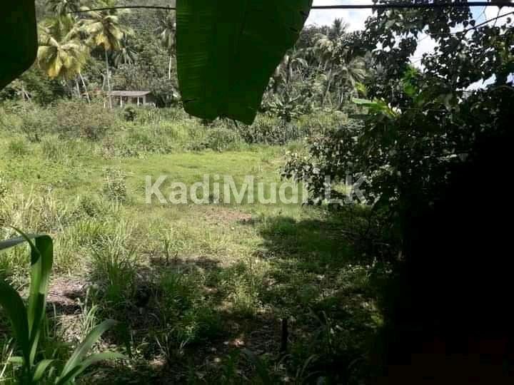 කෑගල්ල අවිස්සාවේල්ල පාරට 800m දුරින් ඉඩමක්