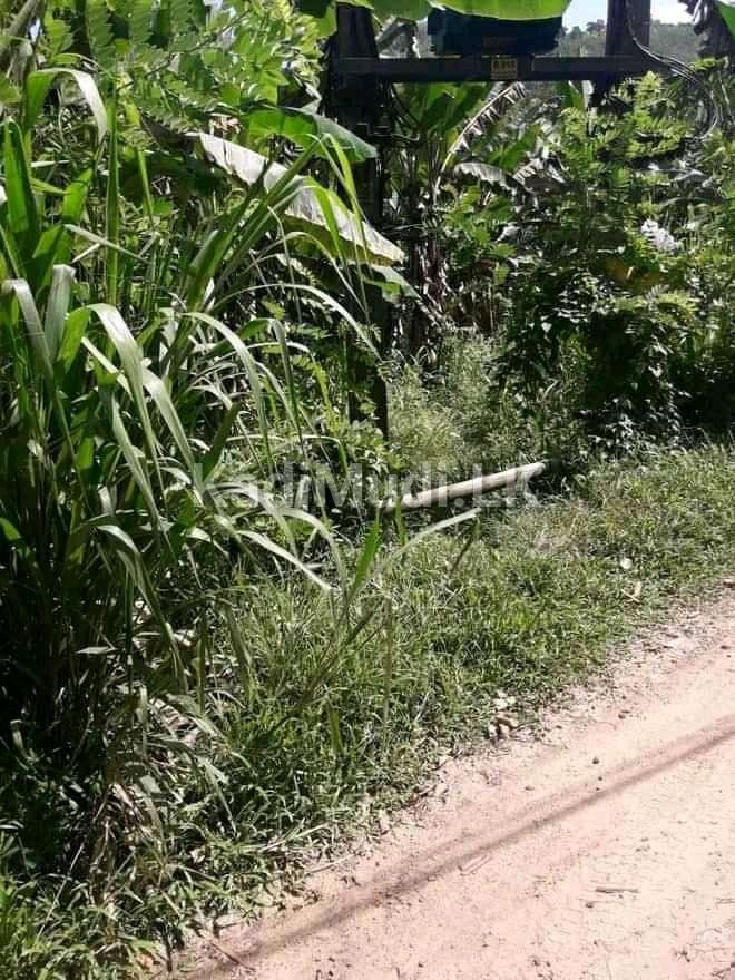 කෑගල්ල අවිස්සාවේල්ල පාරට 800m දුරින් ඉඩමක්