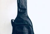 Greg Bennett Guitar USA