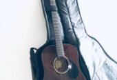 Greg Bennett Guitar USA