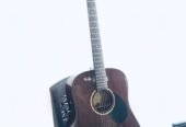 Greg Bennett Guitar USA