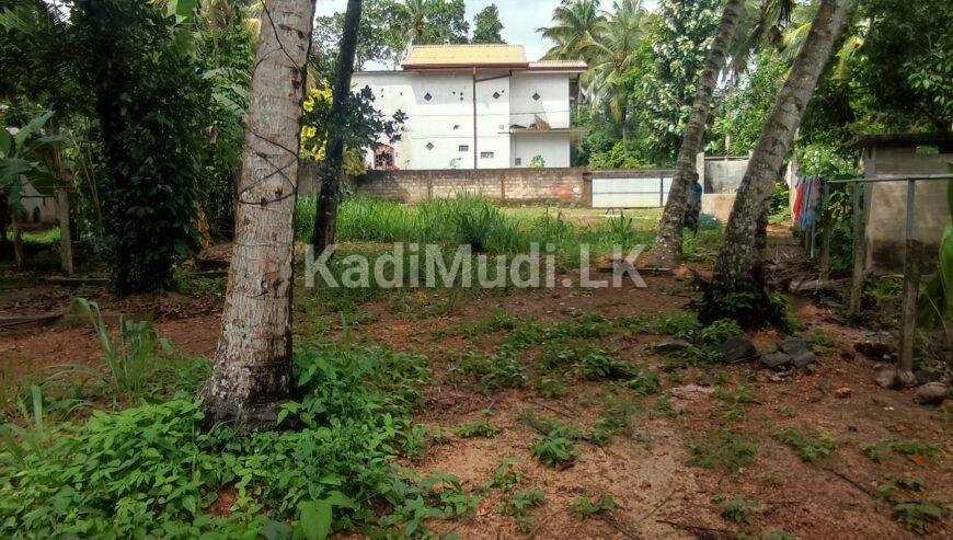 Land for Sale – Minuwangoda