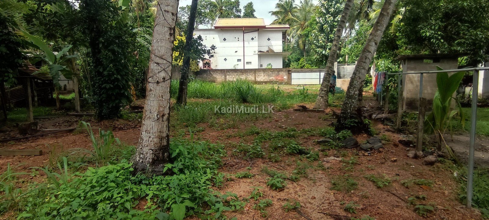 Land for Sale – Minuwangoda