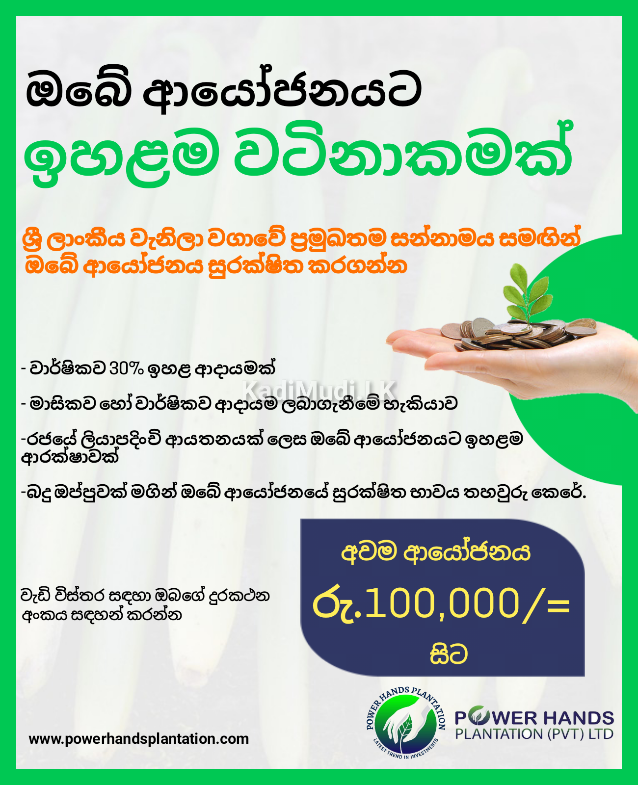 වැනිලා සඳහා ආයෝජනය කර ඉහළ ප්‍රතිලාභ භුක්ති විඳින්න