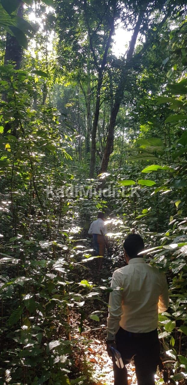 prime Land facing Matale /Dambulla Main road