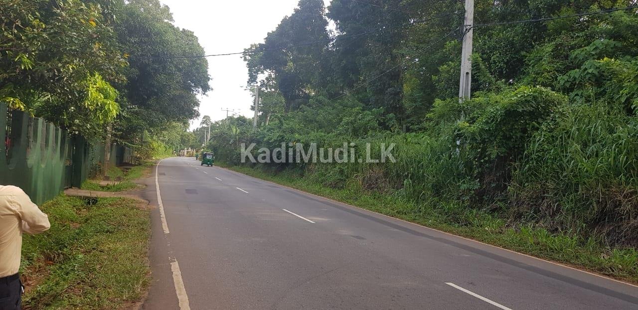 prime Land facing Matale /Dambulla Main road