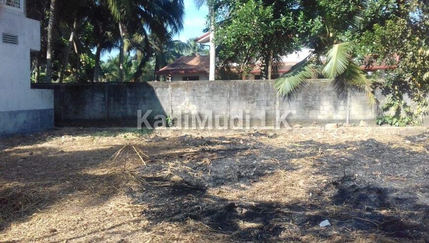 10 Perches Land for sale in Gampaha Bandarawatta