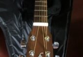 Guitar Yamaha F310