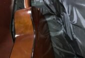 Guitar Yamaha F310