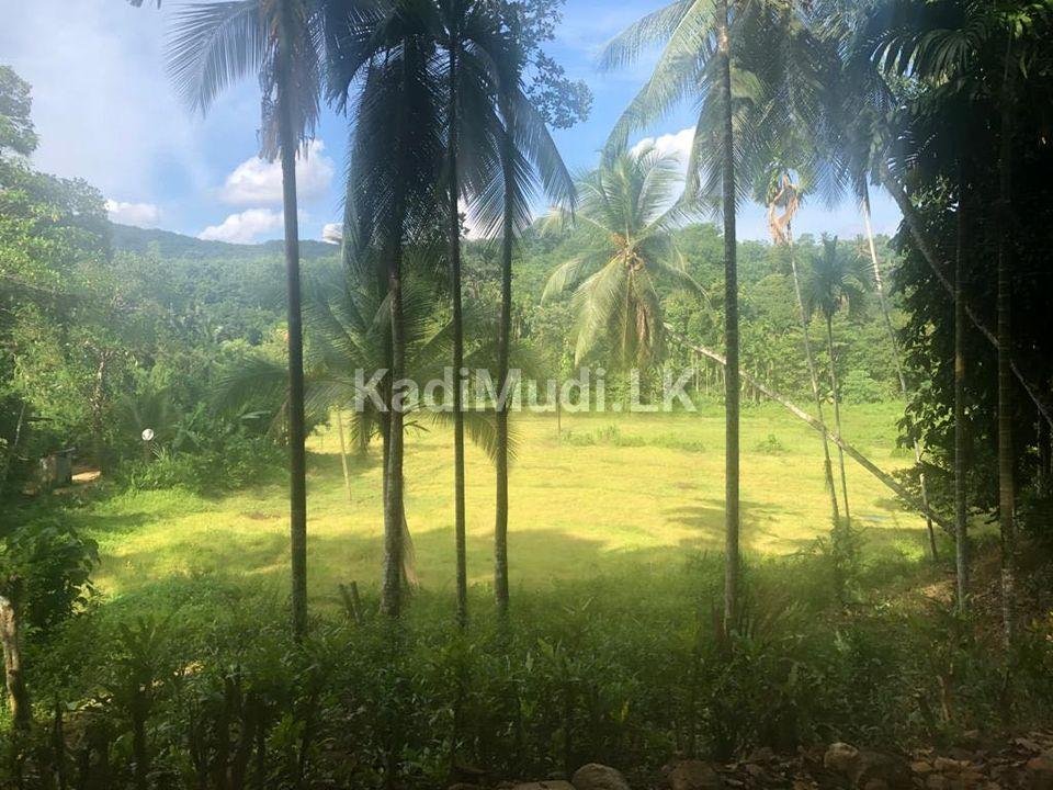 Rubber land for sale in deraniyagala