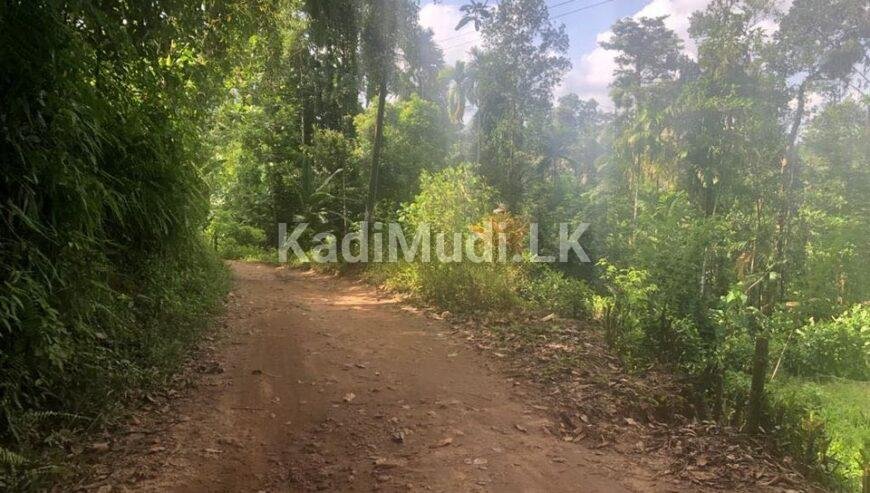 Rubber land for sale in deraniyagala