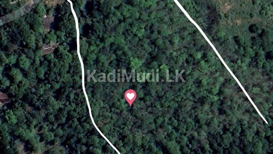 Rubber land for sale in deraniyagala