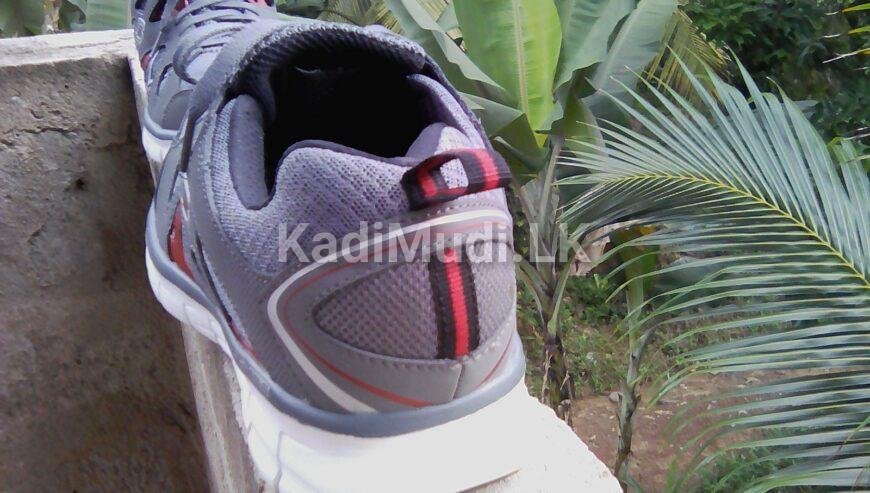 Sketchers sports shoe