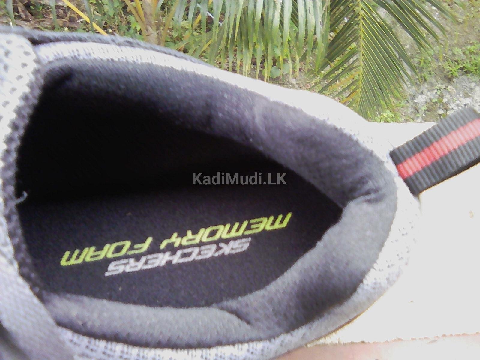 Sketchers sports shoe